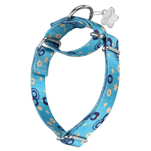 Dazzber Martingale-Halsband – Hundehalsband – neues und lustiges Muster, strapazierfähiges Trainingshalsband (ohne Schnalle) für kleine, mittelgroße und große Hunde (Sternenhimmel, groß, 2,5 cm breit) von Dazzber