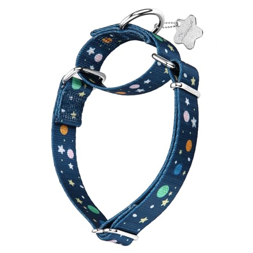 Dazzber Hundehalsband mit Waldtiermuster, Martingale-Hundehalsband, seidig weich und stabil, für mittelgroße und große Hunde (Weltraumplanet, Größe M, 2,5 cm breit) von Dazzber