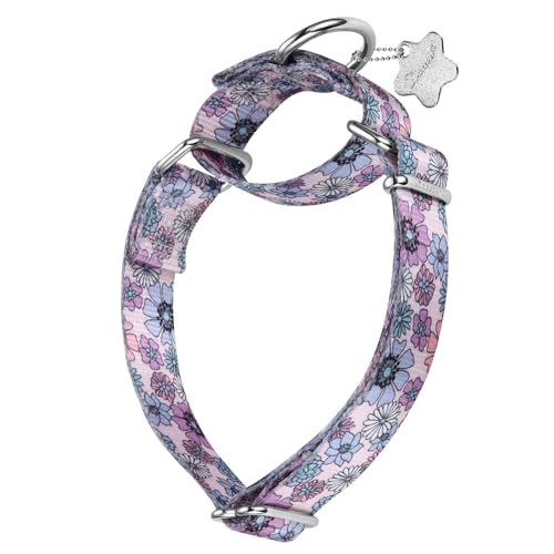 Dazzber Hundehalsband mit Waldtiermuster, Martingale-Hundehalsband, seidig weich und stabil, für mittelgroße und große Hunde (violette Cartoon-Blume, Größe L, 2,5 cm breit) von Dazzber