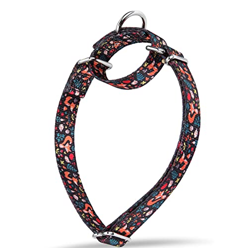 Dazzber Hundehalsband mit Waldtiermuster, Martingale-Hundehalsband, seidig weich und stabil für mittelgroße und große Hunde (Fuchs, Baby, klein, breit 1,6 cm) von Dazzber