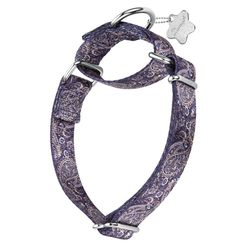 Dazzber Hundehalsband mit Waldtiermuster, Martingale-Hundehalsband, seidig weich und stabil für mittelgroße und große Hunde (Paisleymuster, Größe M, 2,5 cm breit) von Dazzber