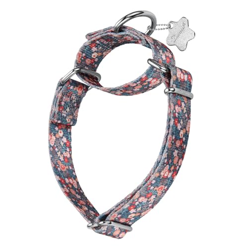 Dazzber Hundehalsband mit Waldtiermuster, Martingale-Hundehalsband, seidig weich und stabil für mittelgroße und große Hunde (romantische Blume, Größe M, 2,5 cm breit) von Dazzber