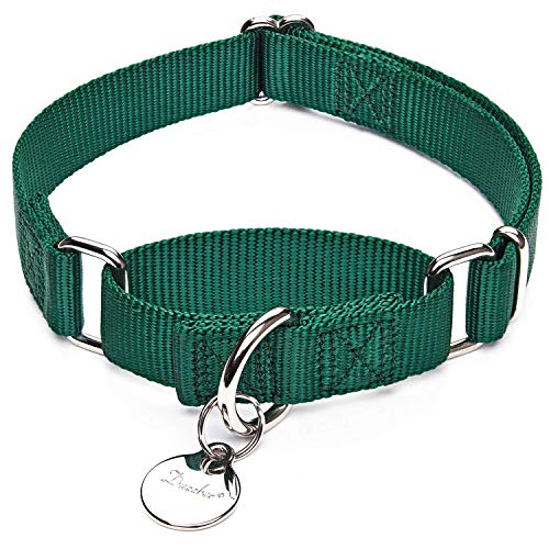 Dazzber Martingal Halsbänder für Hunde, Verstellbar Langlebig Kein Escape Stop Ziehen Hundehalsband Nylon für Große/Mittlere/Kleine Hunde (L(42cm-66cm), Dunkelgrün) von Dazzber