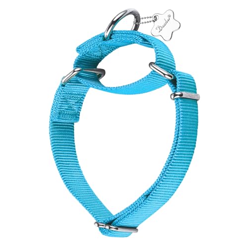 Dazzber Martingal Halsbänder für Hunde, Verstellbar Langlebig Kein Escape Stop Ziehen Hundehalsband Nylon für Große/Mittlere/Kleine Hunde (L(42cm-66cm), Türkis) von Dazzber