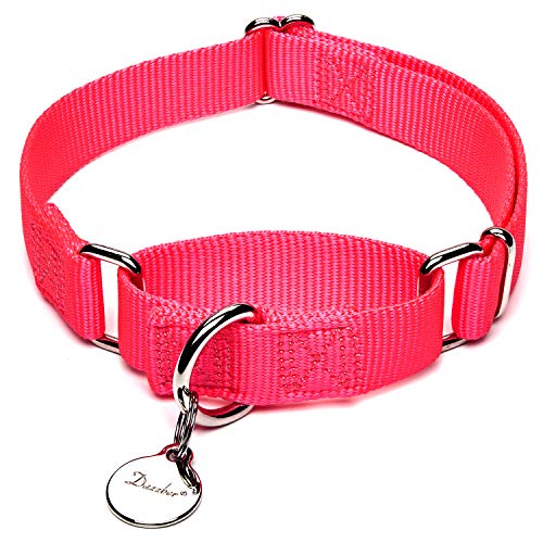 Dazzber Martingal Halsbänder für Hunde, Verstellbar Langlebig Kein Escape Stop Ziehen Hundehalsband Nylon für Große/Mittlere/Kleine Hunde (L, Leuchtend Rosa) von Dazzber