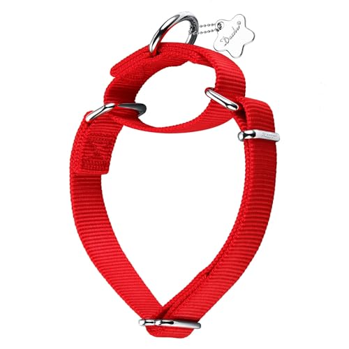 Dazzber Martingal Halsbänder für Hunde, Verstellbar Langlebig Kein Escape Stop Ziehen Hundehalsband Nylon für Große/Mittlere/Kleine Hunde (L, Rot) von Dazzber