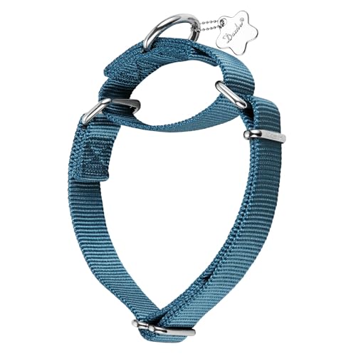 Dazzber Martingal Halsbänder für Hunde, Verstellbar Langlebig Kein Escape Stop Ziehen Hundehalsband Nylon für Große/Mittlere/Kleine Hunde (M(36cm-53cm), Haze Blau) von Dazzber