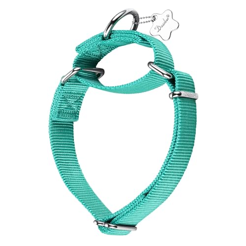 Dazzber Martingal Halsbänder für Hunde, Verstellbar Langlebig Kein Escape Stop Ziehen Hundehalsband Nylon für Große/Mittlere/Kleine Hunde (M(36cm-53cm), Teal-Blau) von Dazzber