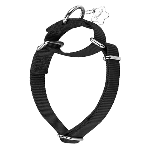 Dazzber Martingal Halsbänder für Hunde, Verstellbar Langlebig Kein Escape Stop Ziehen Hundehalsband Nylon für Große/Mittlere/Kleine Hunde (Mittlere, Schwarz) von Dazzber