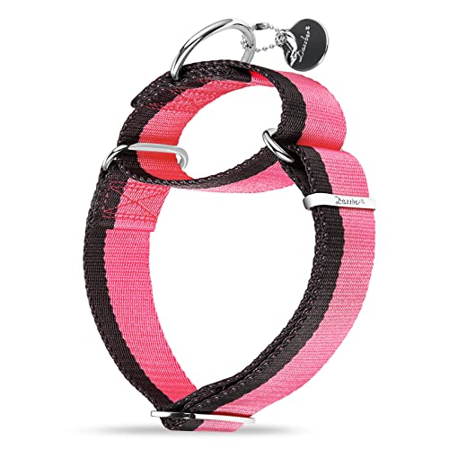 Dazzber Martingal Halsbänder für Mittel/Große Hunde 4cm Breites, Extra Starkes, Verstellbar, Hohe Farbechtheit- Nylon 2 Farbe Gestreift Weit Hundehalsband(Baby Rosa & Grau, Groß, 4cm Breit) von Dazzber