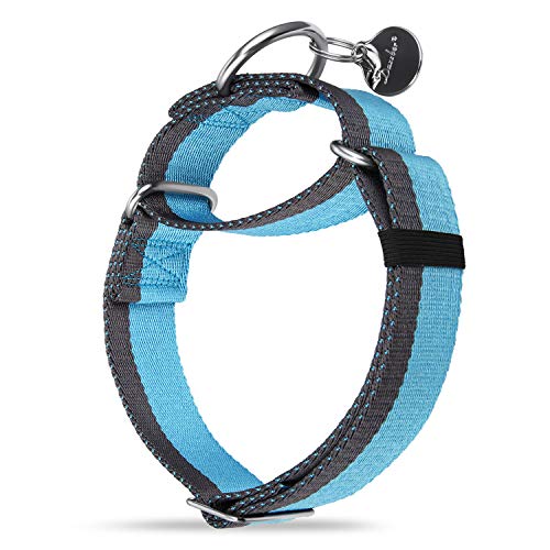 Dazzber Martingal Halsbänder für Mittel/Große Hunde 4cm Breites, Extra Starkes, Verstellbar, Hohe Farbechtheit- Nylon 2 Farbe Gestreift Weit Hundehalsband (Babyblau & Grau, Extra groß, 4cm Breit) von Dazzber