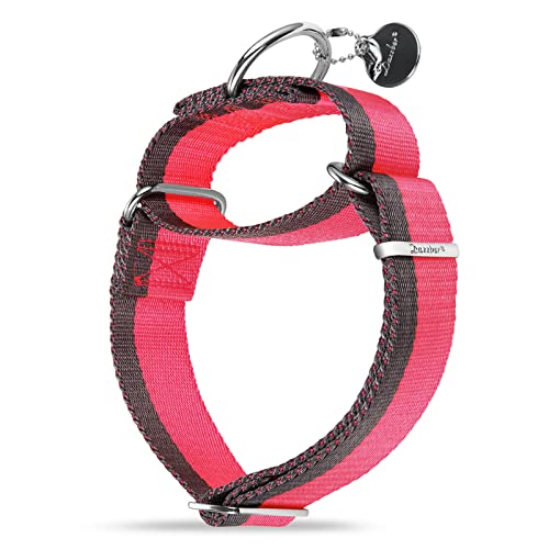 Dazzber Martingal Halsbänder für Mittel/Große Hunde 4cm Breites, Extra Starkes, Verstellbar, Hohe Farbechtheit- Nylon 2 Farbe Gestreift Weit Hundehalsband (Heißes Rosa & Grau, Extra groß, 4cm Breit) von Dazzber