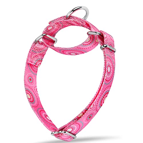 Dazzber Martingale Collar Dog Collar No Pull Pet Collar Heavy Duty Dog Martingale Collars Silky Soft with Unique Pattern for Medium and Large Dogs (Large, 1 Inch Wide, Candy Pink) von Dazzber