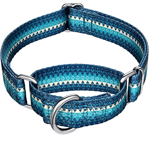 Dazzber Martingale Halsbänder für Hunde, Türkisgrün, Halsumfang 25,4 - 38,1 cm, strapazierfähig, kein Ziehen, kein Entkommen, Hundehalsband für kleine bis mittelgroße Hunde von Dazzber