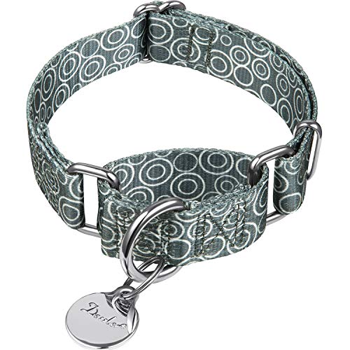 Dazzber Martingale Halsbänder für Hunde, kein Ziehen, Anti-Flucht-Halsband, strapazierfähig für mittelgroße Hunde, verstellbar 35,6 cm bis 53,3 cm, Warmgrau - C.R.C von Dazzber