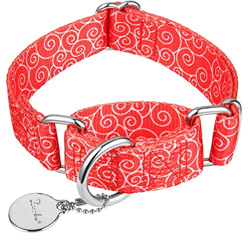 Dazzber Martingale Halsbänder für Hunde, kein Ziehen, Anti-Flucht-Halsband, strapazierfähig für mittelgroße und große Hunde, verstellbar 43,2 cm bis 63,3 cm, Rot, verheißungsvolle Wolke von Dazzber