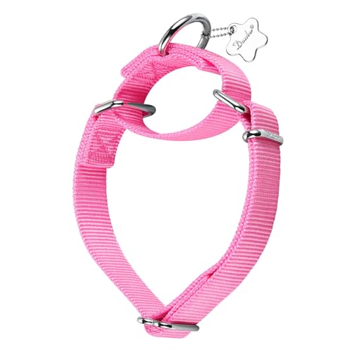 Dazzber Martingale Hundehalsband, strapazierfähiges Nylon, Anti-Flucht-Halsband für mittelgroße und große Hunde, Spaziergänge, Training, den täglichen Gebrauch, Größe L, Babyrosa von Dazzber