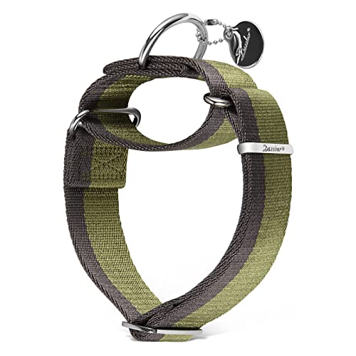 Dazzber Martingal Halsbänder für Mittel/Große Hunde 4cm Breites, Extra Starkes, Verstellbar, Hohe Farbechtheit- Nylon 2 Farbe Gestreift Weit Hundehalsband (Militärgrün & Grau, Mittel, 4cm Breit) von Dazzber