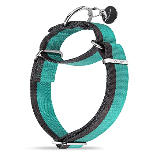 Dazzber Martingal Halsbänder für Mittel/Große Hunde 4cm Breites, Extra Starkes, Verstellbar, Hohe Farbechtheit- Nylon 2 Farbe Gestreift Weit Hundehalsband (Mintblau & Grau, Extra groß, 4cm Breit) von Dazzber