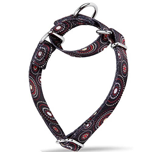 Dazzber Martingale Hundehalsband, buntes Ölgemälde-Muster, kein Ziehen, seidig, weich für mittelgroße und große Hunde (groß, 2,5 cm breit, Feuerwerk-Punkte, Schwarz) von Dazzber