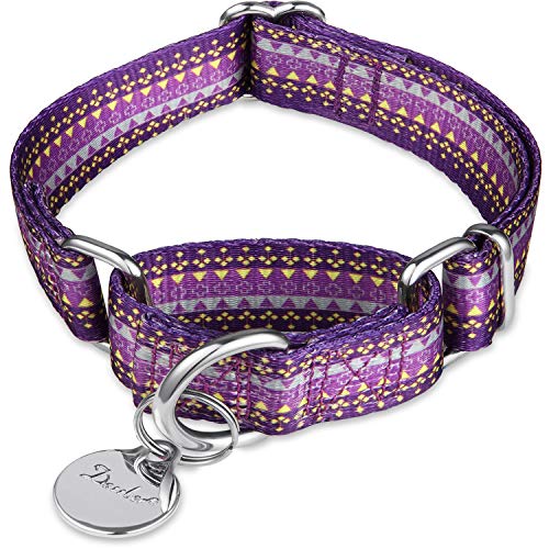 Dazzber Martingale Halsband Hundehalsband Kein Ziehen Haustier Halsband Heavy Duty Hund Martingale Halsbänder Seidig Weich mit Einzigartigem Muster für Mittlere und Große Hunde (Groß, 2.5 cm breit von Dazzber