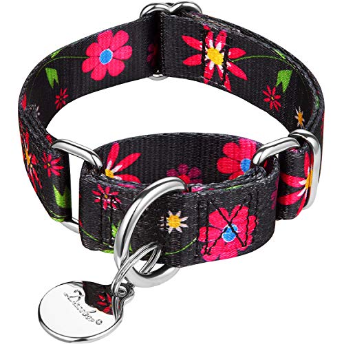 Dazzber Martingale Halsband Hundehalsband No Pull Pet Collar Heavy Duty Dog Martingale Halsbänder Seidig Weich mit Einzigartigem Muster für Mittlere und Große Hunde (Klein, 5/8 Zoll Breite von Dazzber