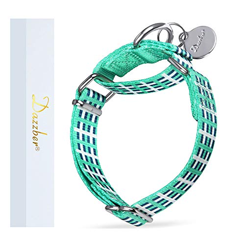 Dazzber Martingale Halsband Hundehalsband No Pull Pet Collar Heavy Duty Dog Martingale Halsbänder Seidig Weich mit Einzigartigem Muster für Mittlere und Große Hunde (Medium, 1 Zoll Breit von Dazzber