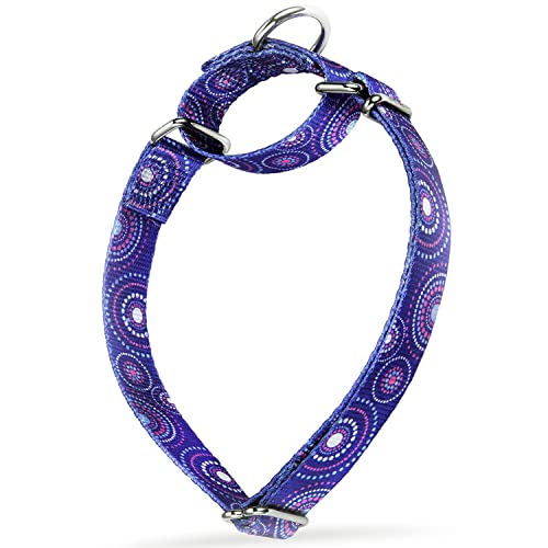 Dazzber Martingale Halsband Hundehalsband No Pull Pet Collar Heavy Duty Dog Martingale Halsbänder Seidig Weich mit Einzigartigem Muster für Mittlere und Große Hunde (Medium, 2,5 cm breit, Feuerwerk Punkte - Königsblau) von Dazzber