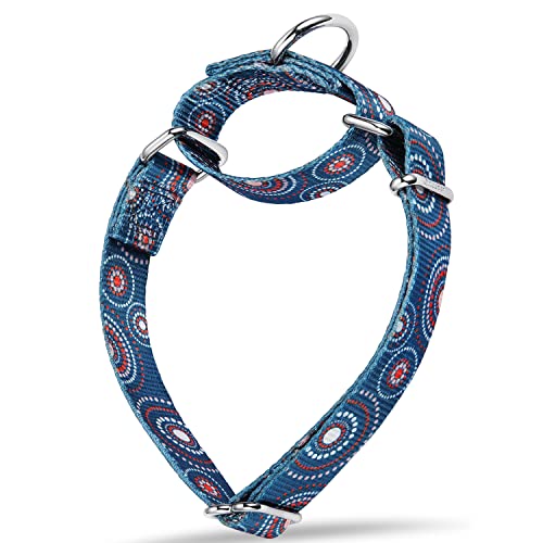 Dazzber Martingale-Halsband mit Blumendruck, kein Ziehen, Haustierhalsband, strapazierfähig, verstellbar, Größe M, Halsumfang 35,6 cm bis 53,3 cm, Feuerwerk-Punkte, Indigo von Dazzber