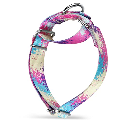 Dazzber Martingale Hundehalsbänder, bunte Ölgemälde-Muster-Serie, kein Ziehen, seidig, weich, für mittelgroße und große Hunde (klein, 1,6 cm breit, bunt) von Dazzber