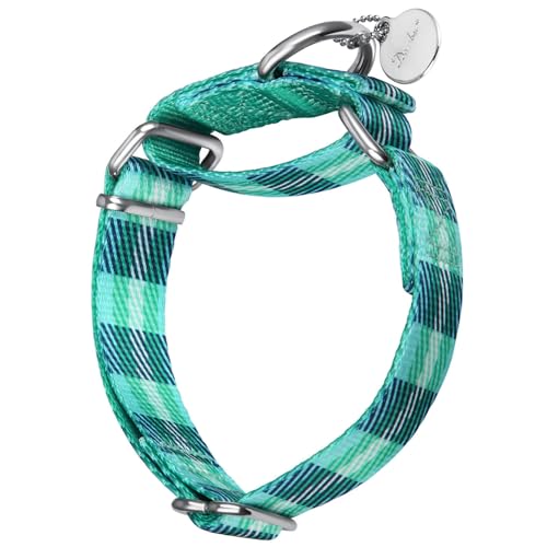 Dazzber Martingale Hundehalsband, kein Ziehen, strapazierfähig, Martingale-Halsbänder, seidig weich mit einzigartigem geometrischem Muster für mittelgroße und große Hunde, klein, 1,6 cm breit, von Dazzber