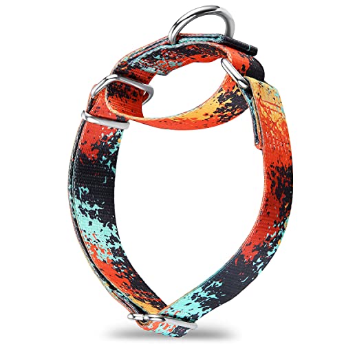 Dazzber Martingale Hundehalsbänder Bunte Ölgemälde Muster Serie - Kein Ziehen Haustier Halsband Seidig Weich für Mittlere und Große Hunde (Groß, Dschungel Sonnenuntergang), Large, 1 Inch Wide von Dazzber