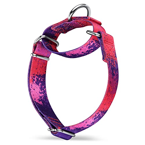 Dazzber Martingale Hundehalsbänder Bunte Ölgemälde Muster Serie - No Pull Haustierhalsband Seidig weich für mittlere und große Hunde (Groß, 2,5 cm breit, Lila Geheimnis) von Dazzber