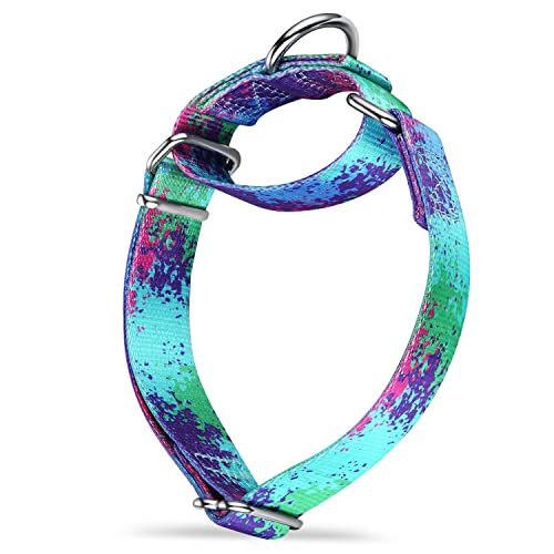 Dazzber Martingale Hundehalsbänder Bunte Ölgemälde Muster Serie - No Pull Haustierhalsband Seidig weich für mittlere und große Hunde (XS Klein, 1,5 cm breit, Ökologie-Oase) von Dazzber