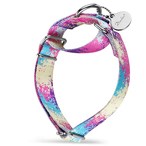 Dazzber Martingale Hundehalsbänder Bunte Ölgemälde Muster Serie - No Pull Haustierhalsband Seidig weich für mittlere und große Hunde (XS Klein, 1,5 cm breit, Überfluss Bunt) von Dazzber