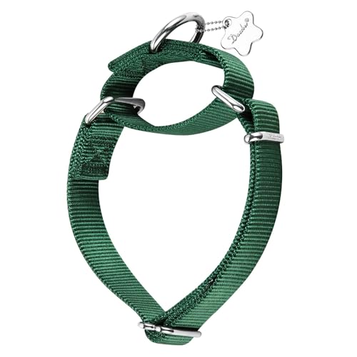 Dazzber Martingale Hundehalsband, Anti-Ausbruch, hochdichtes Nylon, langlebig, verstellbar, bequem und sicher, professionelles Trainingshalsband, tägliche Spaziergänge für kleine, mittelgroße und von Dazzber