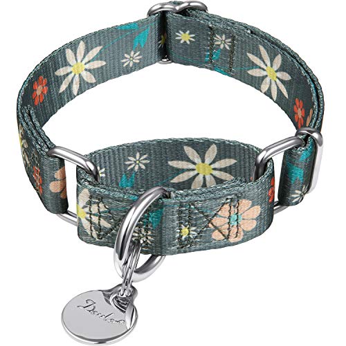 Dazzber Martingale Hundehalsband, Blumendruck, kein Ziehen, strapazierfähig, verstellbar, Größe M, Halsumfang 35,6 cm bis 53,3 cm, elegante Blumen, warmes Grau von Dazzber