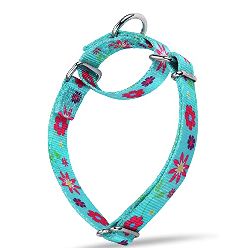 Dazzber Martingale Hundehalsband, Blumenmuster, kein Ziehen, strapazierfähig, verstellbar, groß, Halsumfang 43,2 cm bis 63,5 cm, Sonnenblume (Blaugrün) von Dazzber