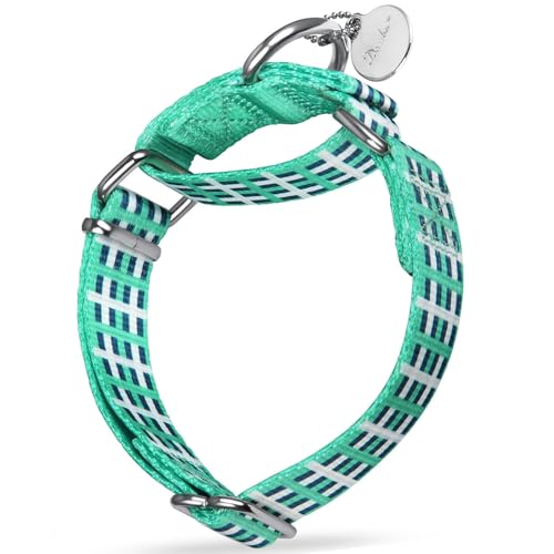 Dazzber Martingale Hundehalsband, buntes Ölgemälde-Muster, kein Ziehen, seidig, weich für mittelgroße und große Hunde (klein, 1,6 cm breit, Unterwassergottes Biest) von Dazzber