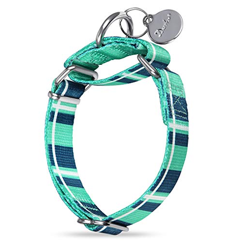 Dazzber Martingale Hundehalsband, kein Ziehen, strapazierfähig, Martingale-Halsbänder, seidig weich mit einzigartigem Muster für mittelgroße und große Hunde (Medium, 2,5 cm breit, blaugrün kariert) von Dazzber