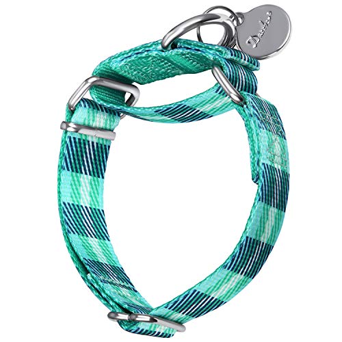 Dazzber Martingale Hundehalsband, kein Ziehen, strapazierfähig, Martingale-Halsbänder, seidig weich mit einzigartigem geometrischem Muster für mittelgroße und große Hunde (Medium, 2,5 cm breit, von Dazzber