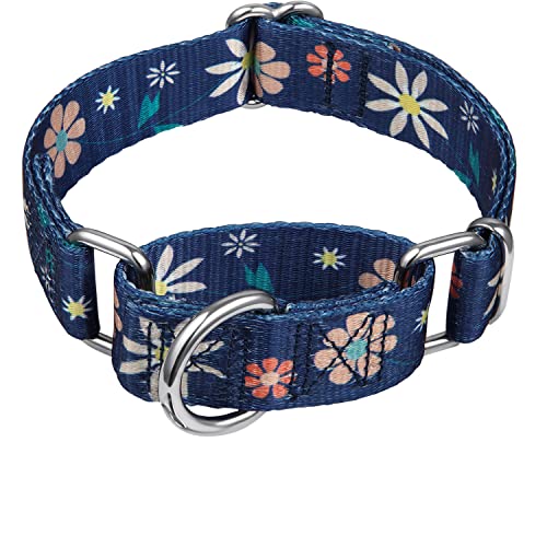 Dazzber Martingale Hundehalsband, kein Ziehen, strapazierfähiges Hundehalsband, Martingalhalsband von Dazzber