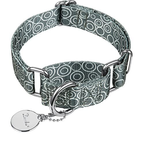 Dazzber Martingale Hundehalsband Kein Ziehen, Haustierhalsband, Strapazierfähiges Hunde-Martingalhalsband, 2.5 cm breit, Warm Gray-konzentrisch) von Dazzber