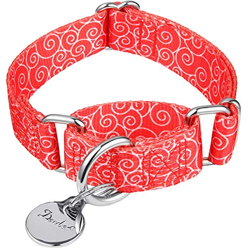 Dazzber Martingale-Hundehalsband für Welpen, kein Ziehen, Anti-Flucht-Halsband für extra kleine und kleine Hunde, verstellbar 20,3 cm bis 27,9 cm, Rot, verheißungsvolle Wolke von Dazzber