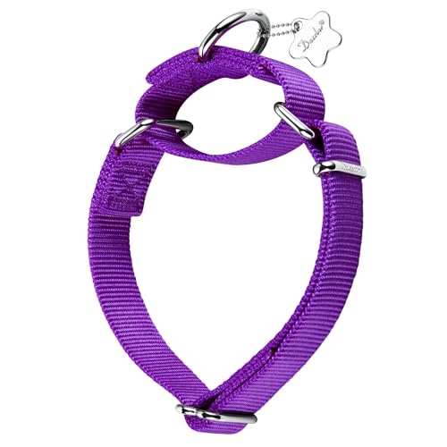 Dazzber Martingale Hundehalsband mit Metall-Erkennungsmarke, strapazierfähiges Nylon-Hundehalsband (Medium, 2,5 cm breit, dunkle Orchidee) von Dazzber