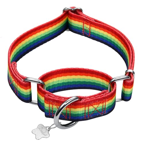 Dazzber Martingale-Hundehalsband mit Waldtiermuster, seidig weich und stabil, für mittelgroße und große Hunde (Regenbogen, Größe M, 2,5 cm breit) von Dazzber