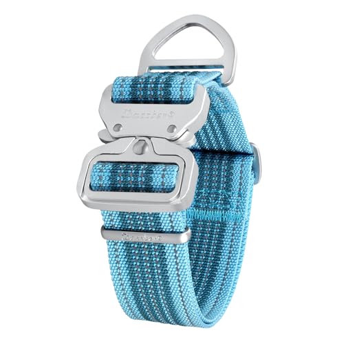 Martingale-Halsband, stark und extra dicker, strapazierfähiges Hundehalsband für mittelgroße bis XL-Hunde (groß, blau) von Dazzber