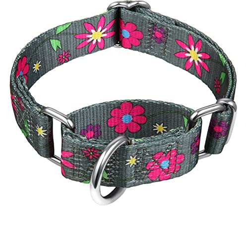 Martingale Hundehalsband mit Blumendruck, kein Ziehen, strapazierfähig, verstellbar, Größe M, Halsumfang 35,6 - 53,3 cm, Sonnenblume (Graphitgrau) von Dazzber