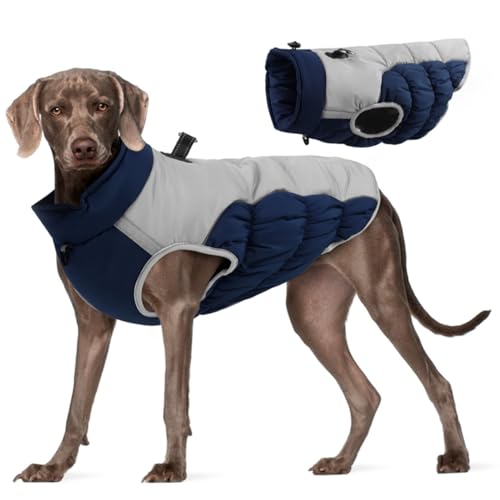 Dbvnnsy Winterhundmantel mit Gurt, warme Hundemäntel wasserdichte, reflektierende Reißverschluss -Up -Hundejacke kaltes Wetter gemütlicher Watteswäsche für mittelgroßen großen Hunden 4XL von Dbvnnsy