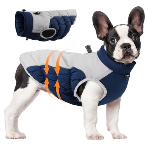 Dbvnnsy Winterhundmantel mit Gurt, warme Hundeschichten wasserdicht, reflektierender Reißverschluss -Up -Hundejacke kaltes Wetter gemütlicher Wattebau -Welpenmantel für mittlere große Hunde 2XL von Dbvnnsy